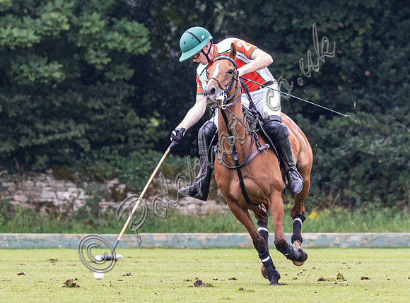 Polo action, County Cup, Cirencester Park