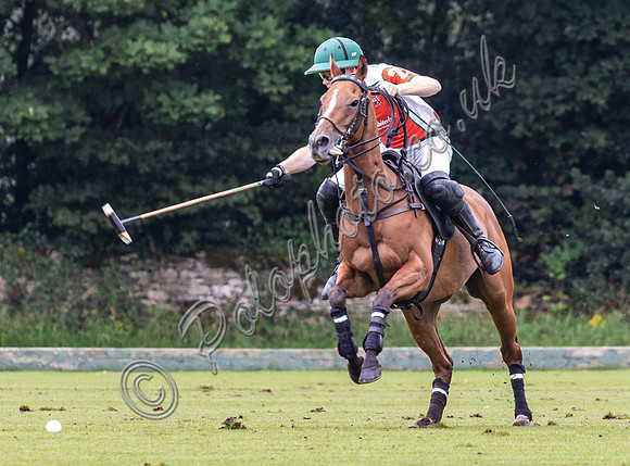 Polo action, County Cup, Cirencester Park