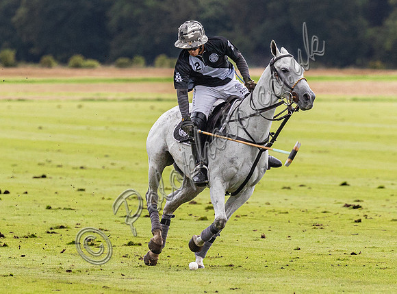 Polo action, County Cup, Cirencester Park