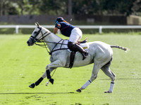 Polo action, Victrix Ludorum Ladies 12-16 goal at RCBPC