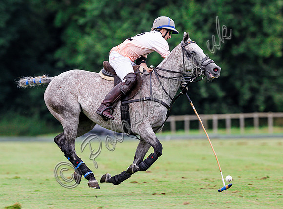 Polo action, The Neil Hague Cup, Cirencester Park