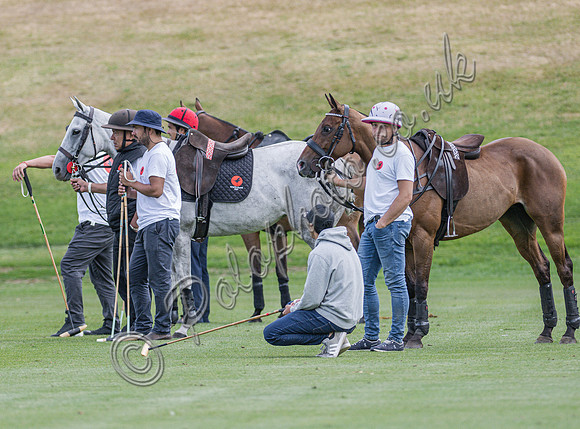 Polo action, 2025 Gold Cup, Cowdray Park Polo Club