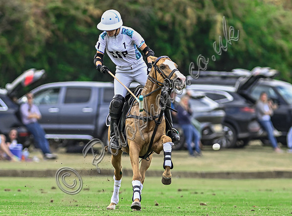 Polo action, Wichenford Bowl 2025 semi-final match, Beaufort Polo Club