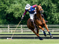 Ladies 16 Goal series