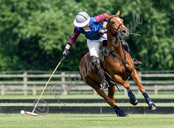 Ladies 16 Goal series