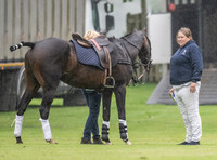 treading the divots on a rainy day at polo