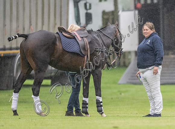 treading the divots on a rainy day at polo