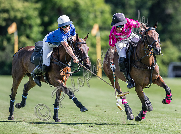 Polo action and presentation - 2024 Gold Cup, Cowdray Park Polo Club
