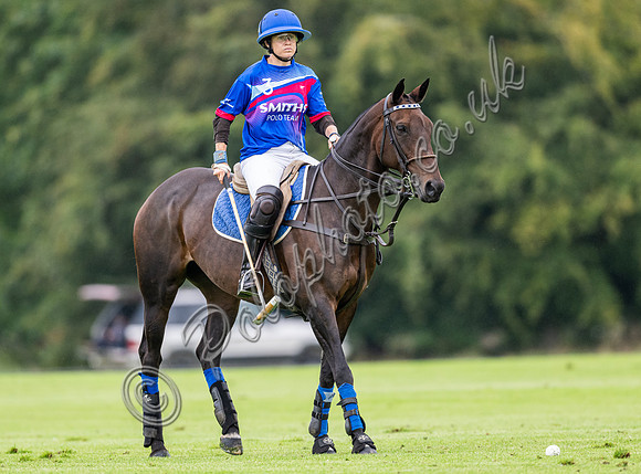Vitrix Ludorum Cirencester Ladies 16 Goal subsidiary final 2023, Cirencester Park
