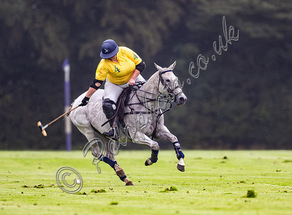 Vitrix Ludorum Cirencester Ladies 16 Goal subsidiary final 2023, Cirencester Park