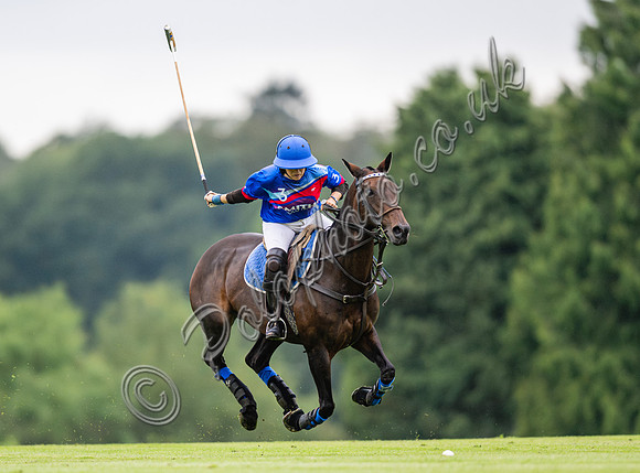 Vitrix Ludorum Cirencester Ladies 16 Goal subsidiary final 2023, Cirencester Park