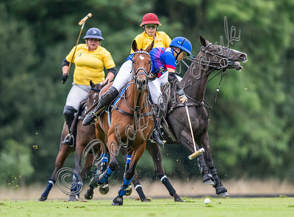 Vitrix Ludorum Cirencester Ladies 16 Goal subsidiary final 2023, Cirencester Park