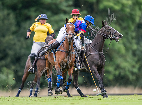 Vitrix Ludorum Cirencester Ladies 16 Goal subsidiary final 2023, Cirencester Park