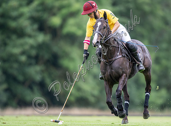 Vitrix Ludorum Cirencester Ladies 16 Goal subsidiary final 2023, Cirencester Park