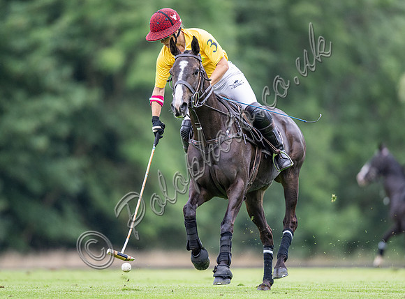 Vitrix Ludorum Cirencester Ladies 16 Goal subsidiary final 2023, Cirencester Park