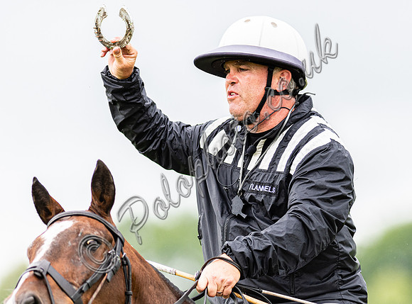 ​​​​​​​HPA Umpire, Tim Bown