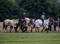 Polo action, County Cup 2025 league match, Cirencester Park