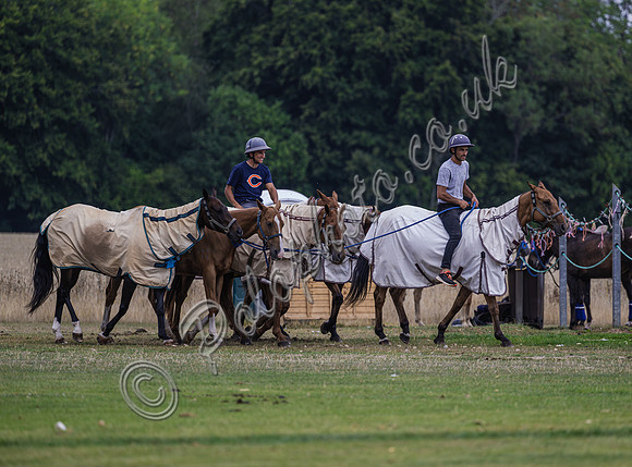 Polo action, County Cup 2025 league match, Cirencester Park