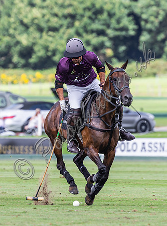 Polo action, The Ruins Cup (Holden White) 2024, Cowdray Park Polo Club