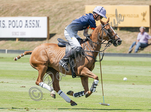 olo action, 2025 Gold Cup, Cowdray Park Polo Club