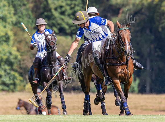Polo action, Kingscote Cup league match 2023, Cup, Cirencester Park