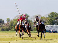 Coxwell v Noon Giraffe polo action , Committee Cup semi-final 2021
