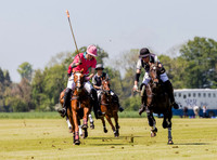 Coxwell v Noon Giraffe polo action , Committee Cup semi-final 2021