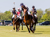 Coxwell v Noon Giraffe polo action , Committee Cup semi-final 2021