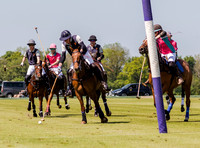 Coxwell v Noon Giraffe polo action , Committee Cup semi-final 2021