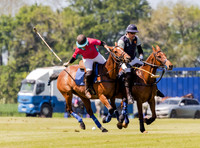 Coxwell v Noon Giraffe polo action , Committee Cup semi-final 2021