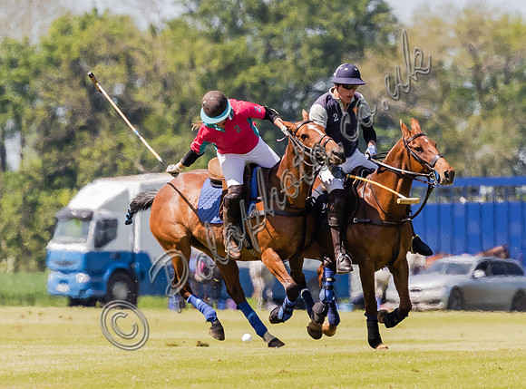 Coxwell v Noon Giraffe polo action , Committee Cup semi-final 2021