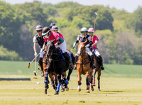 Coxwell v Noon Giraffe polo action , Committee Cup semi-final 2021