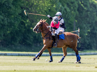 Coxwell v Noon Giraffe polo action , Committee Cup semi-final 2021