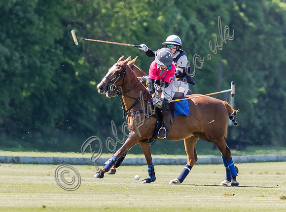 Coxwell v Noon Giraffe polo action , Committee Cup semi-final 2021