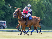 Coxwell v Noon Giraffe polo action , Committee Cup semi-final 2021