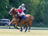 Coxwell v Noon Giraffe polo action , Committee Cup semi-final 2021