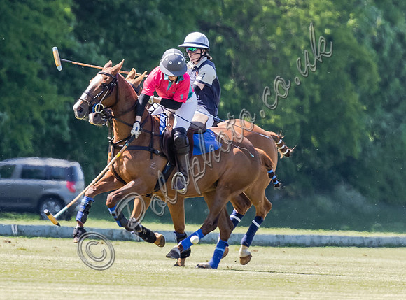 Coxwell v Noon Giraffe polo action , Committee Cup semi-final 2021