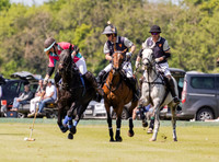 Coxwell v Noon Giraffe polo action , Committee Cup semi-final 2021