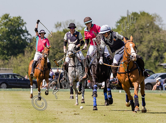 Coxwell v Noon Giraffe polo action , Committee Cup semi-final 2021