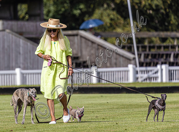 Polo action 2023 Kingscote Cup, Cirencester Park