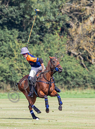 Polo action 2023 Kingscote Cup, Cirencester Park