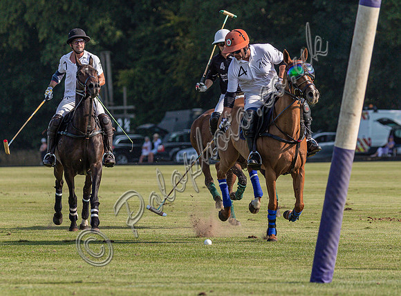 Polo action, County Cup 2025 league match, Cirencester Park