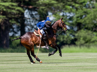 Polo action Tyro Cup Final -  Cirencester Park