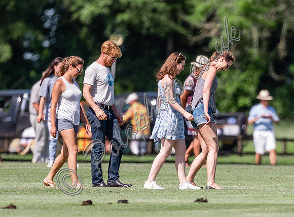 Treading in the divots at  Cirencester Park