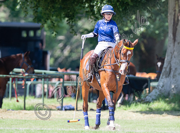 Polo action Tyro Cup Final -  Cirencester Park