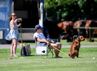 Polo action Tyro Cup Final -  Cirencester Park