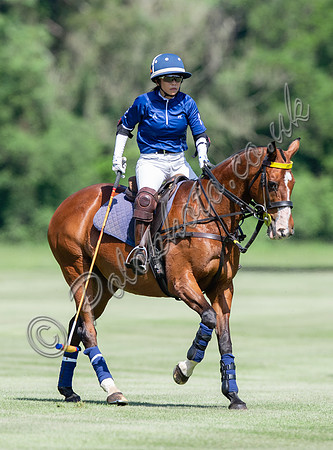 Polo action Tyro Cup Final -  Cirencester Park