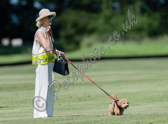 Treading in the divots at  Cirencester Park