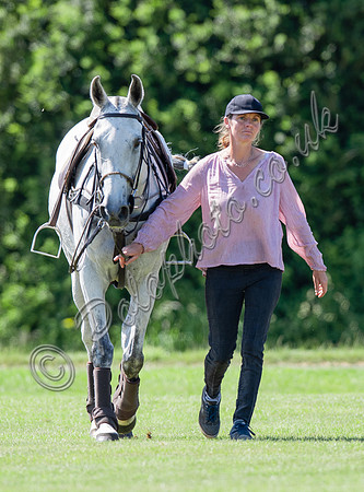 Pologroom and pony