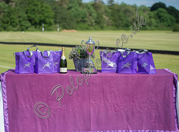 Polo action Tyro Cup Final -  Cirencester Park